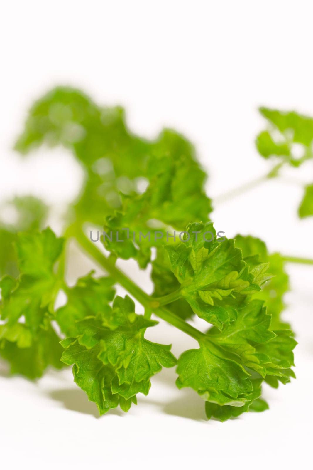 Parsley