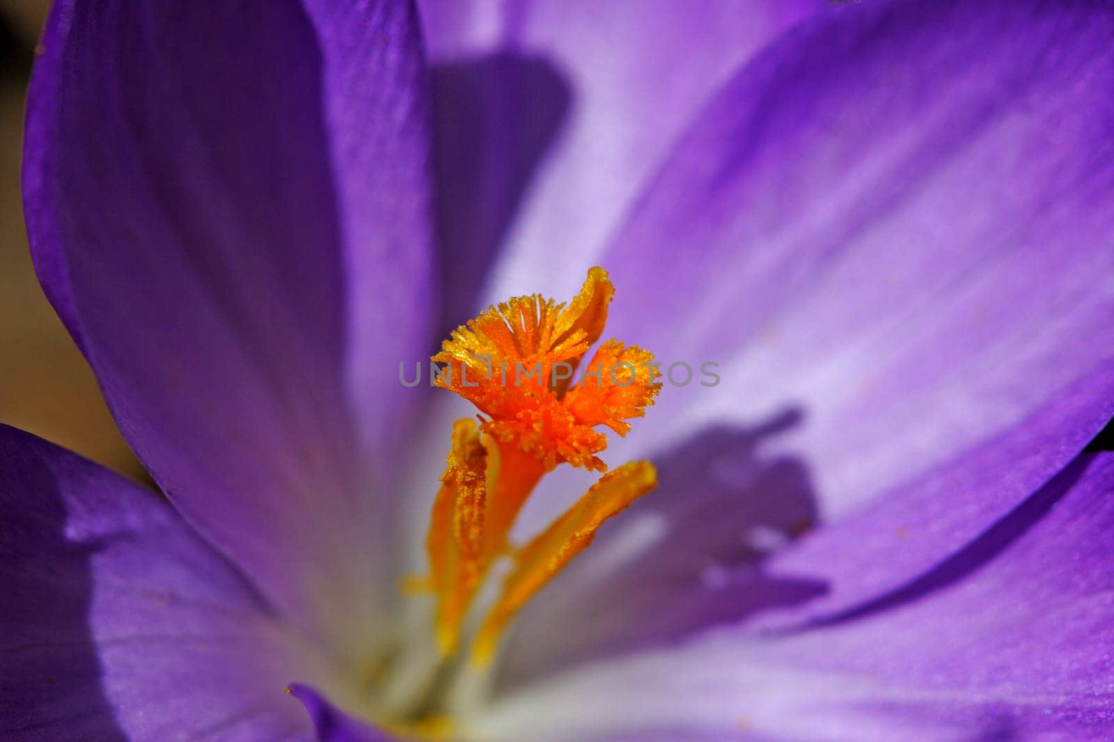 Inner workings