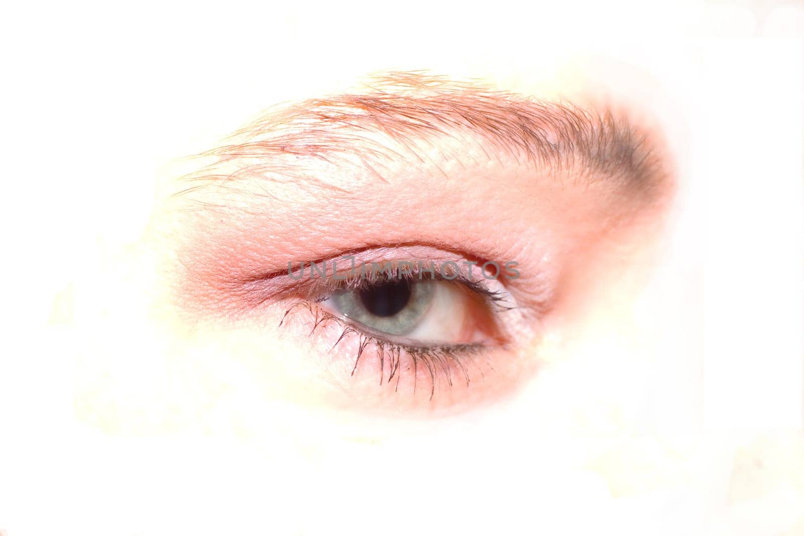 The Eye