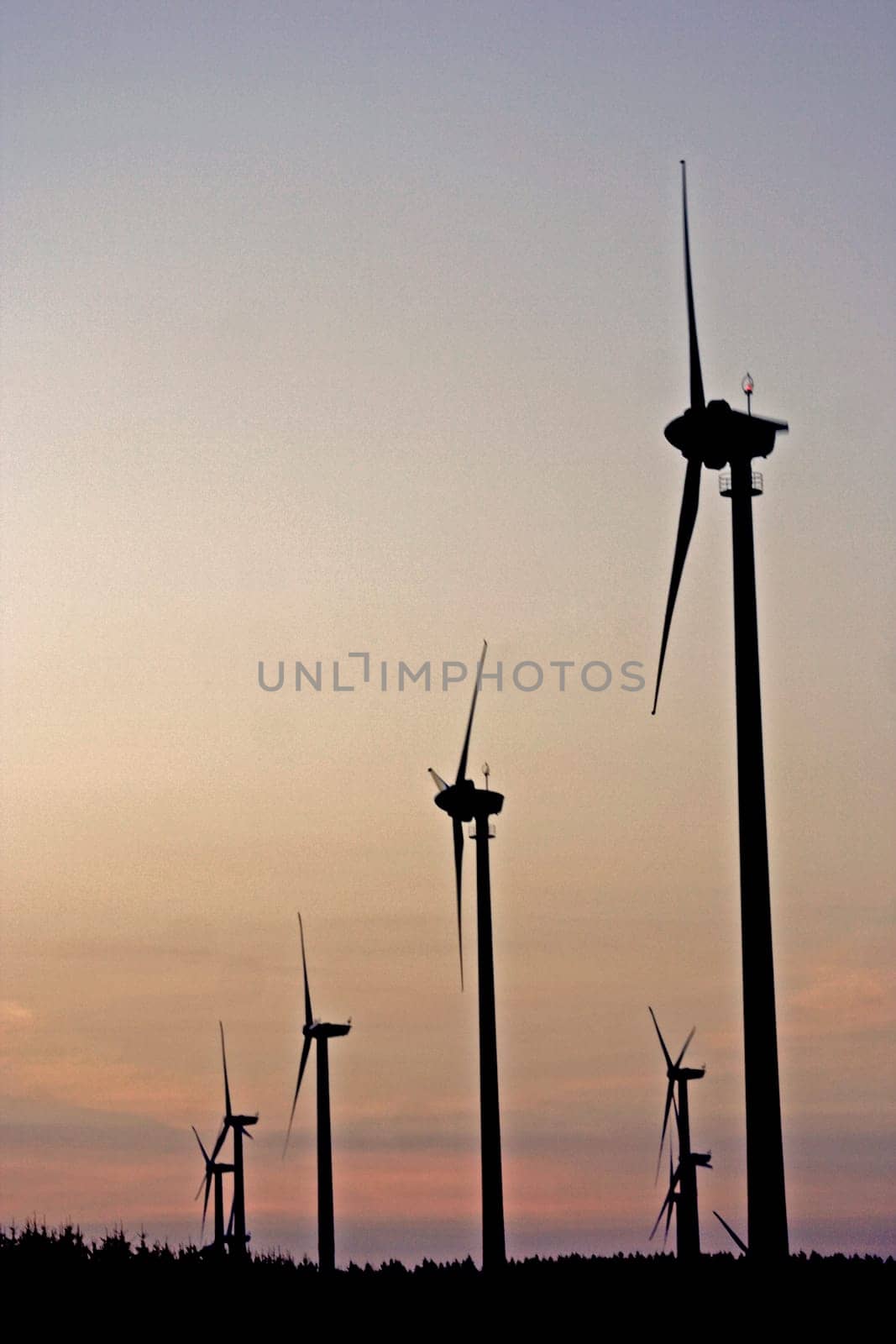 Wind farm at sunset