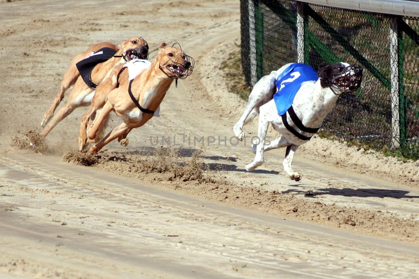 Full Speed