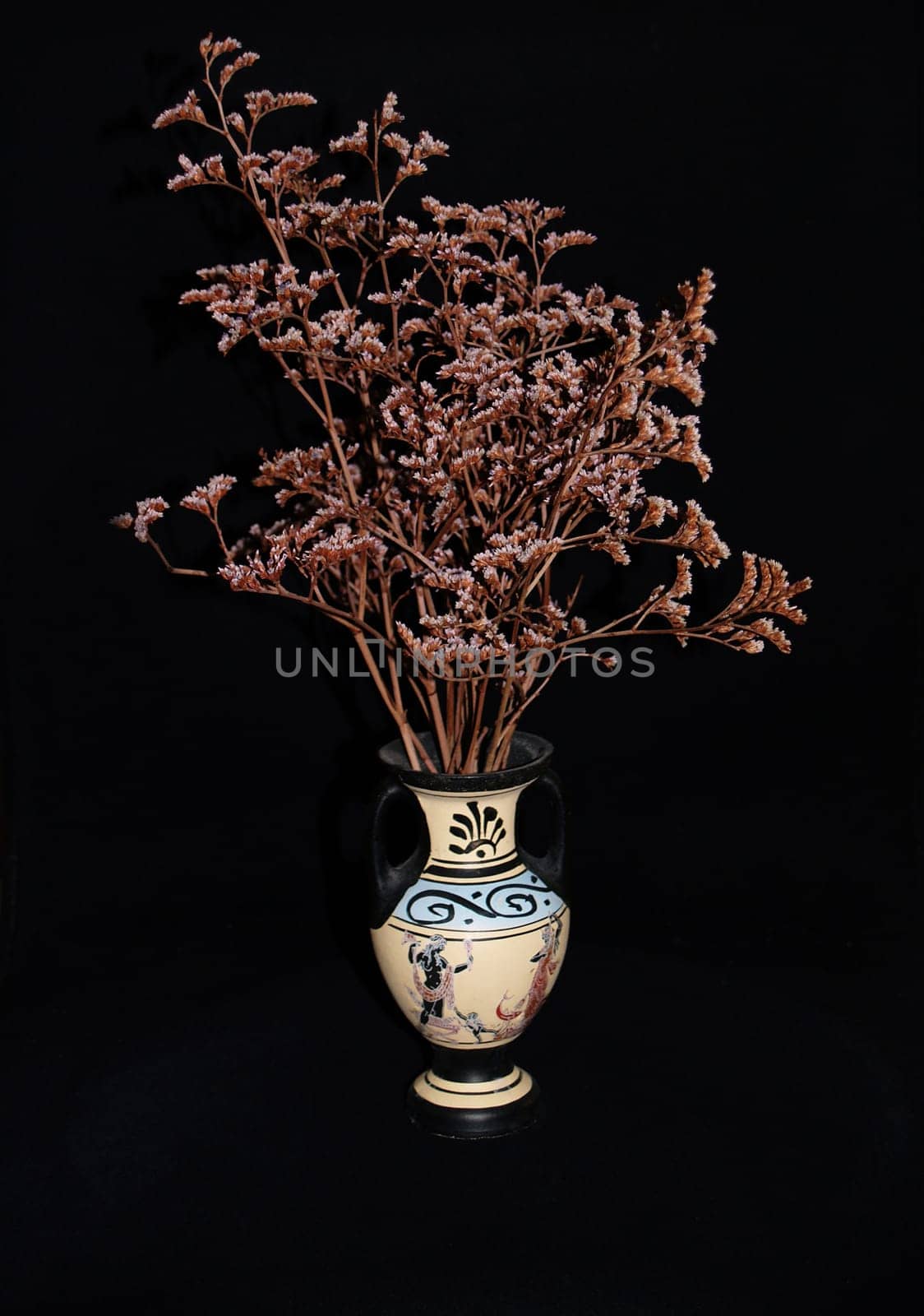 Shrub