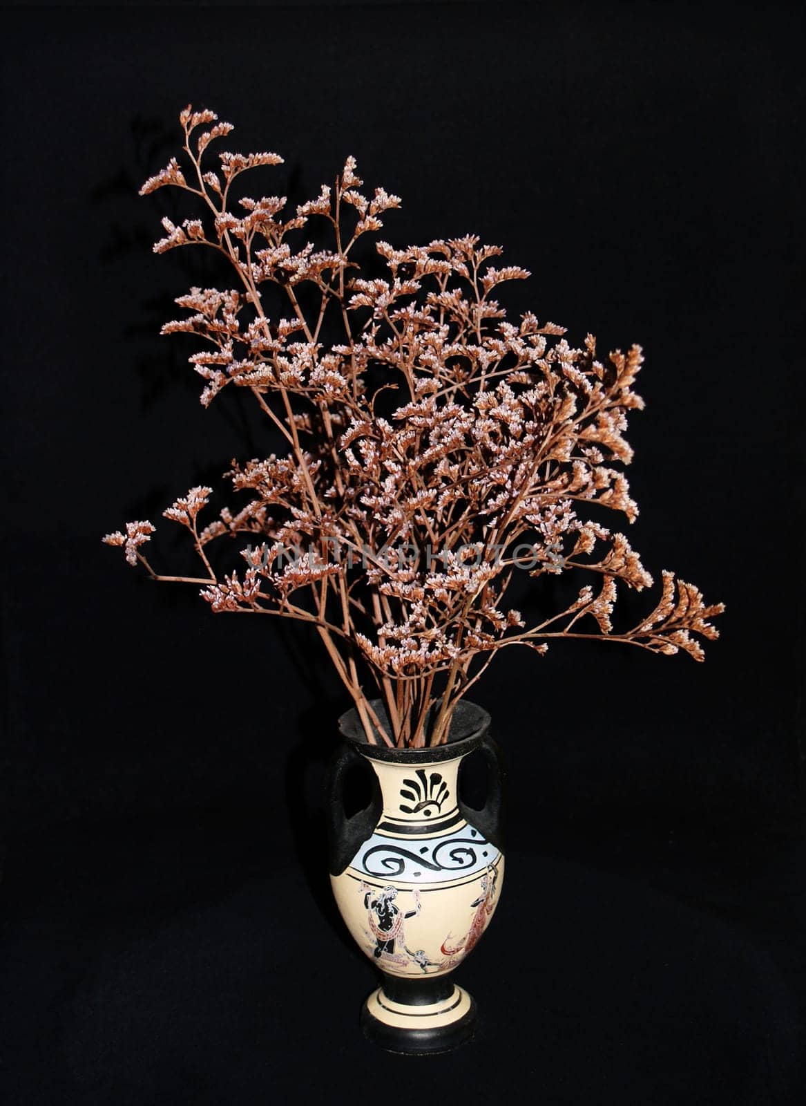 Shrub