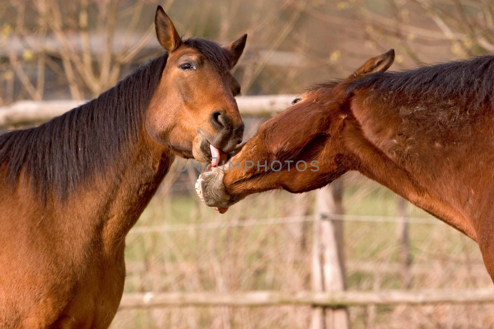 The two of them just have nonsense in their heads -)