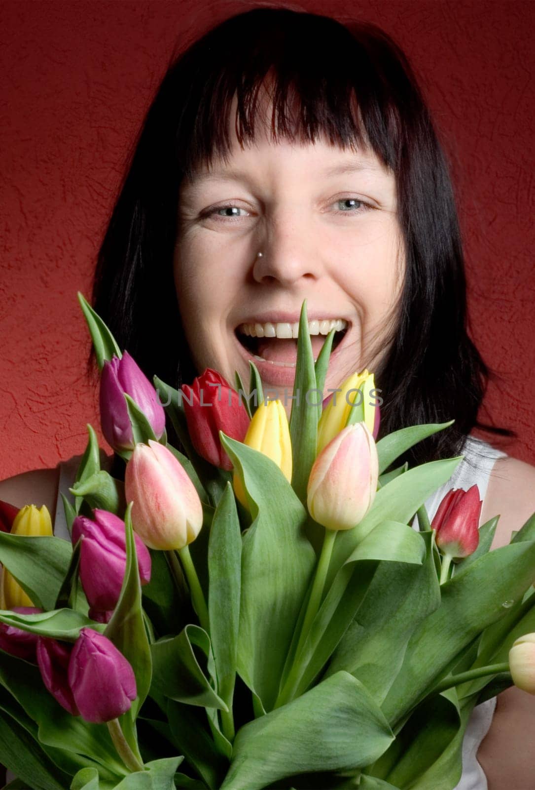 Tulips