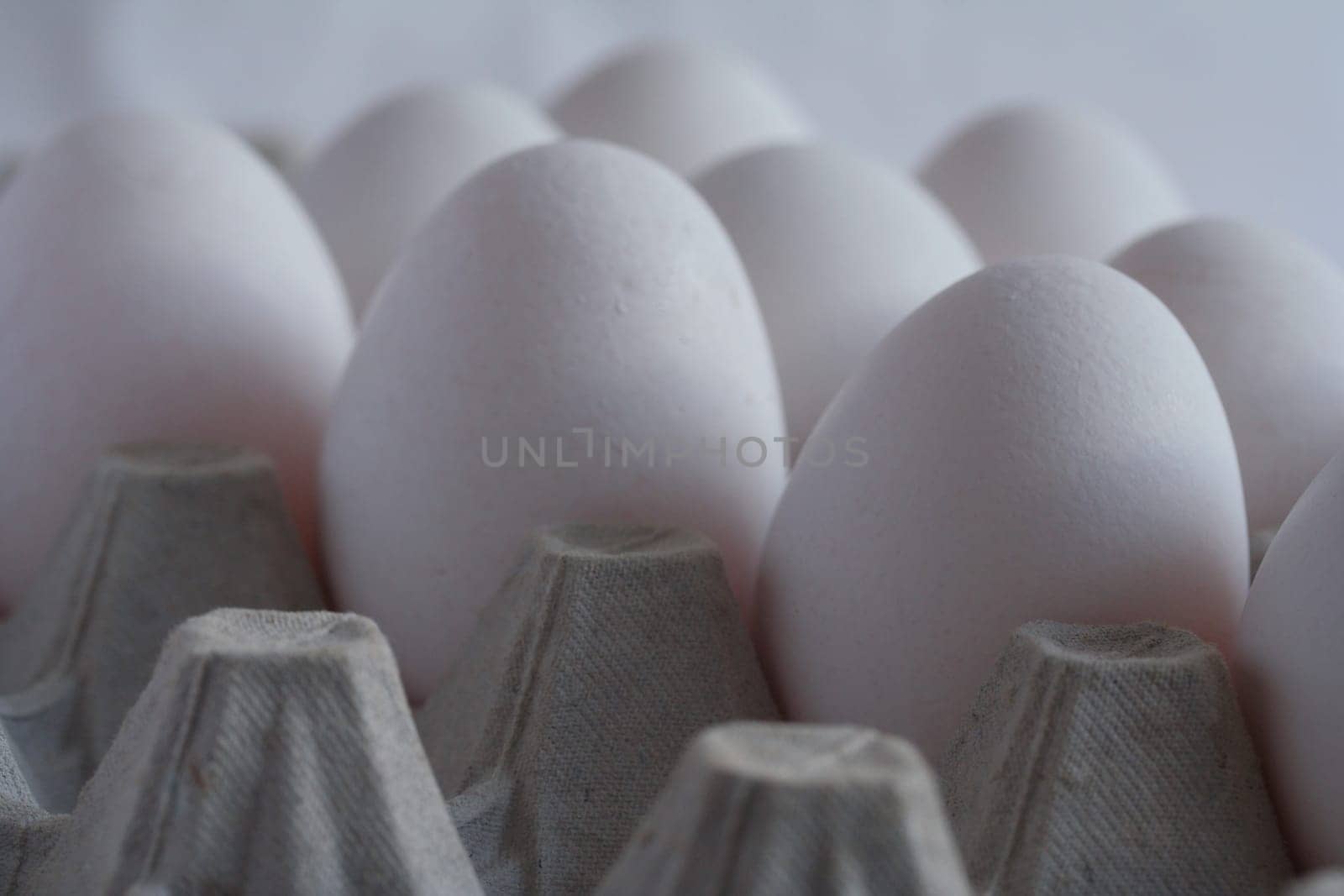 Egg Parade