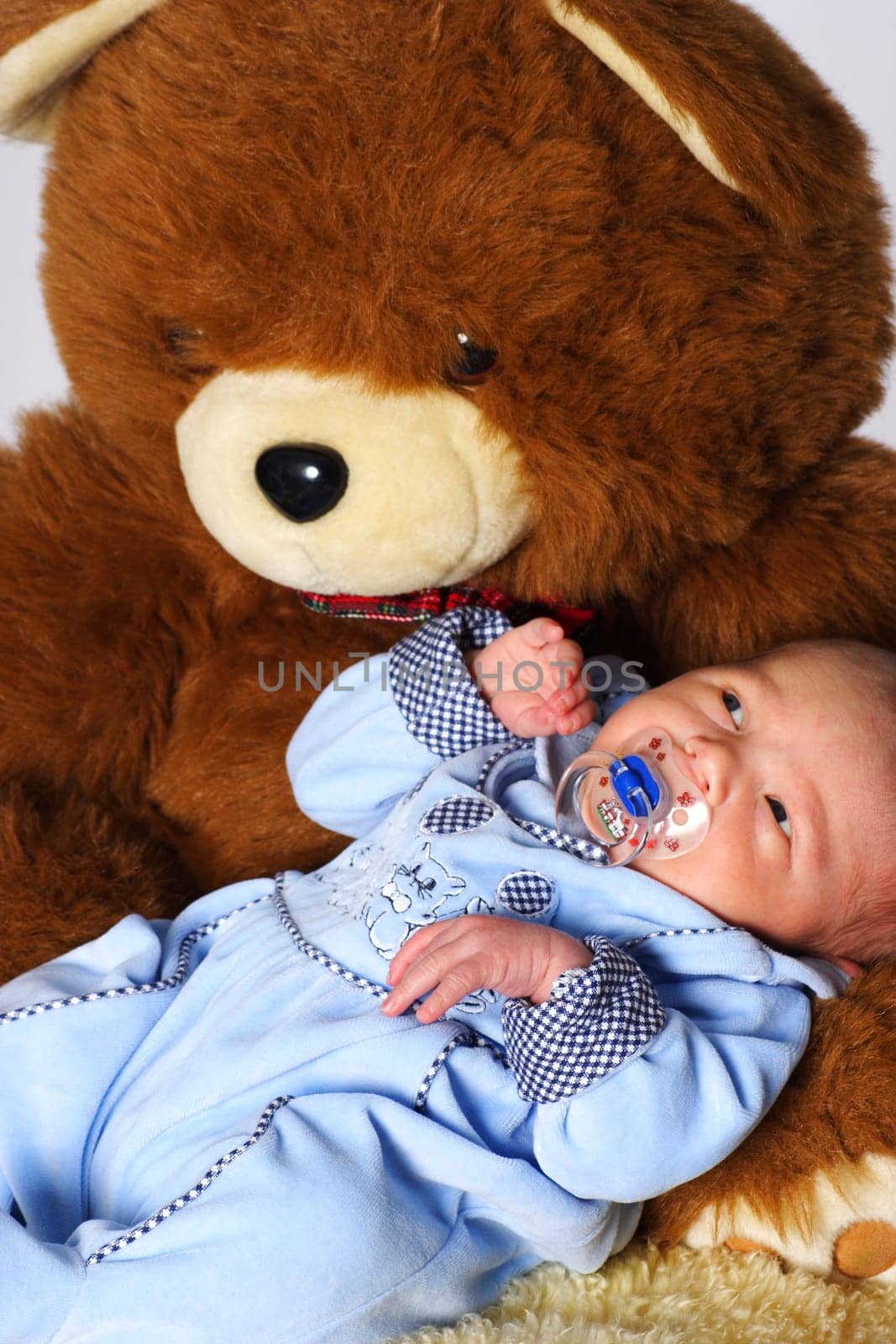 Photo shows a newborn baby looking at the stuffed bear with open eyes
