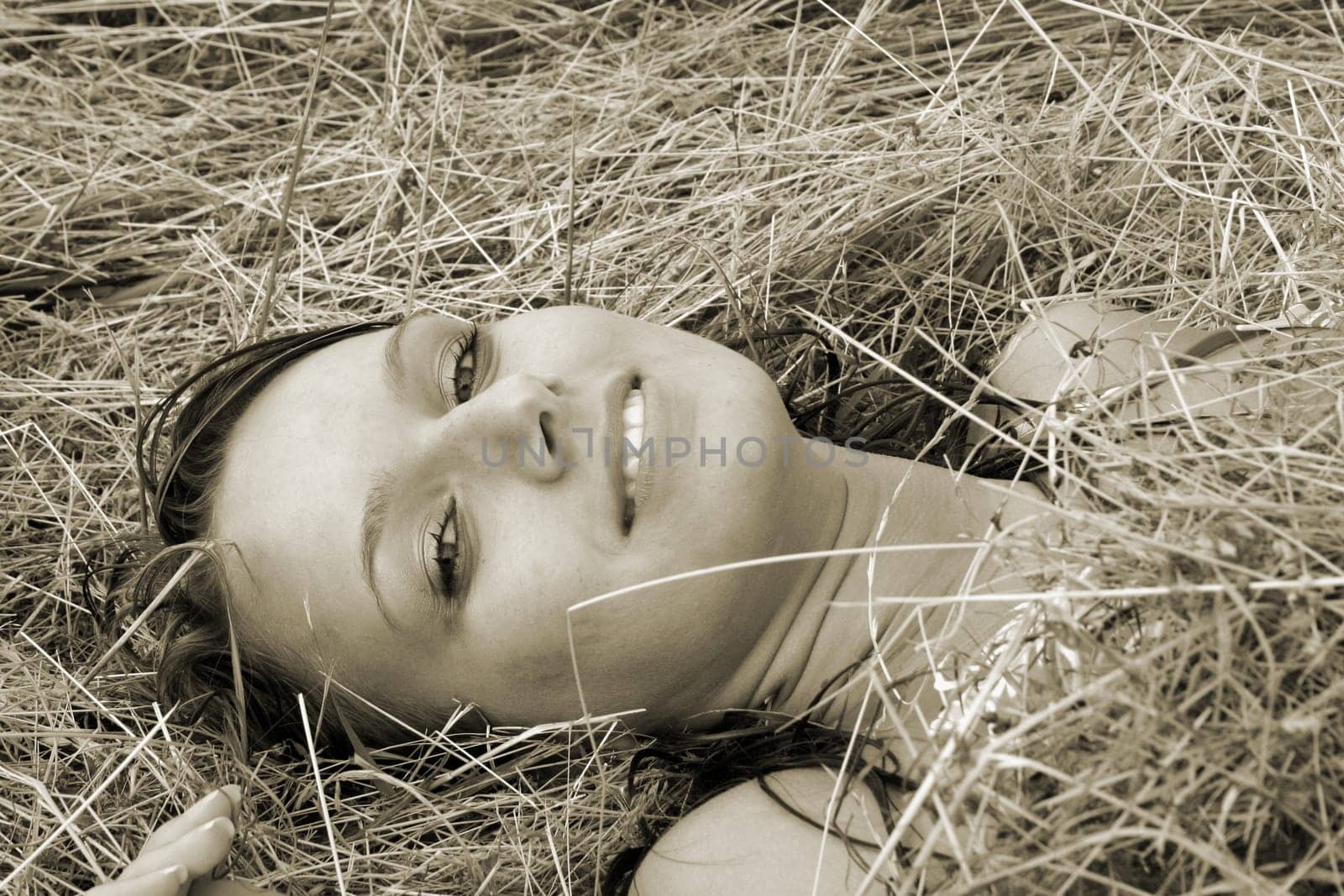 in the hay