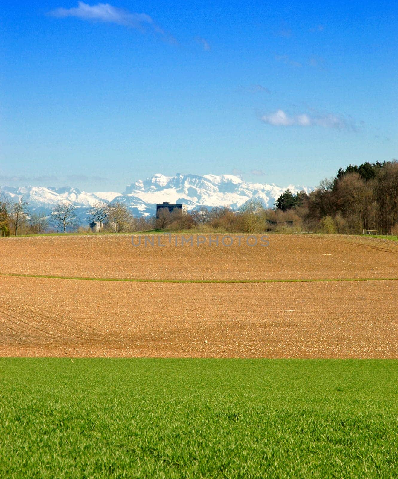 Taken yesterday during a walk. The mountains seemed like a wall at the other end of the city...