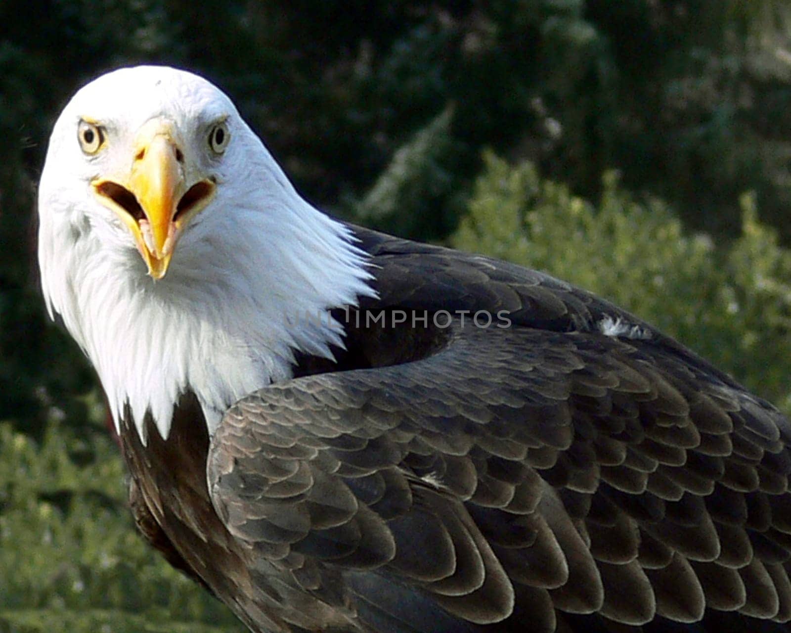 Walsrode Bird Park