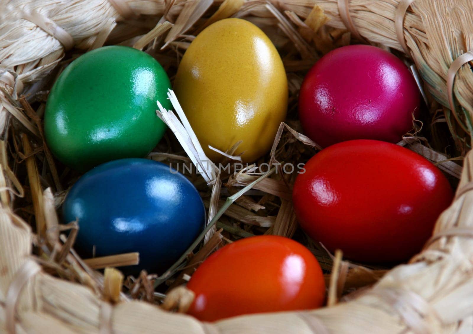 Eggs