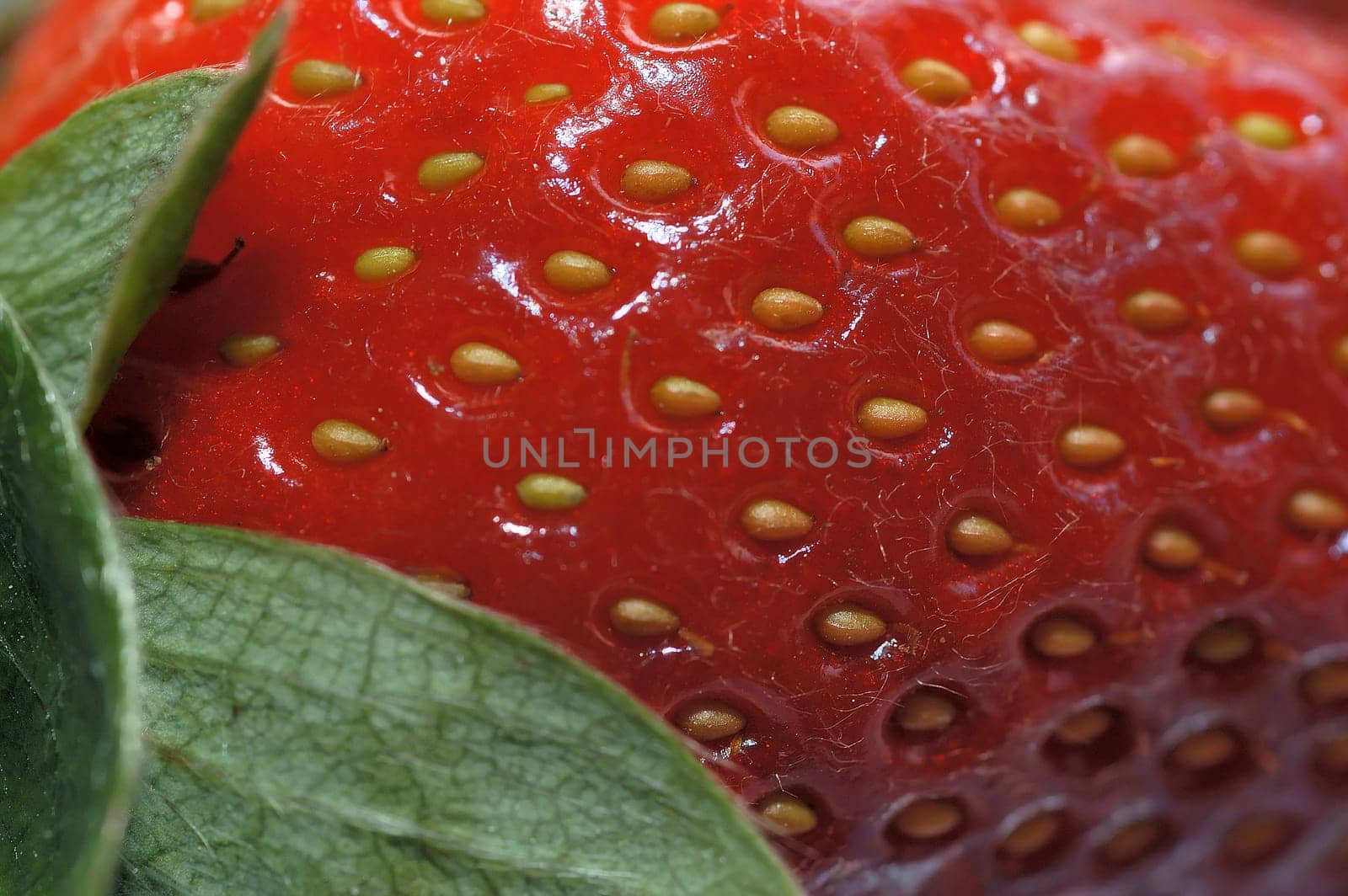 Strawberry 03
