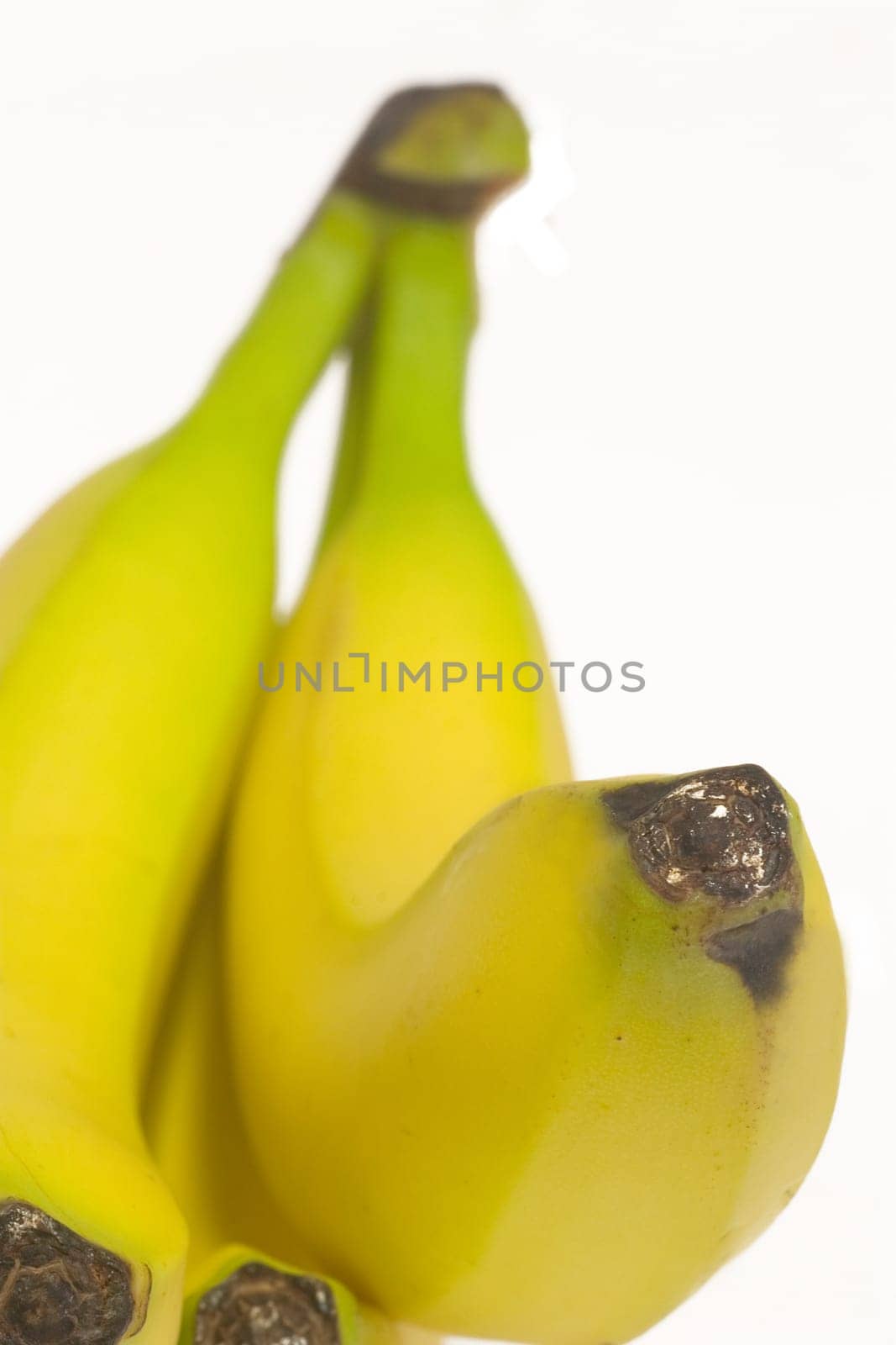 Bananas