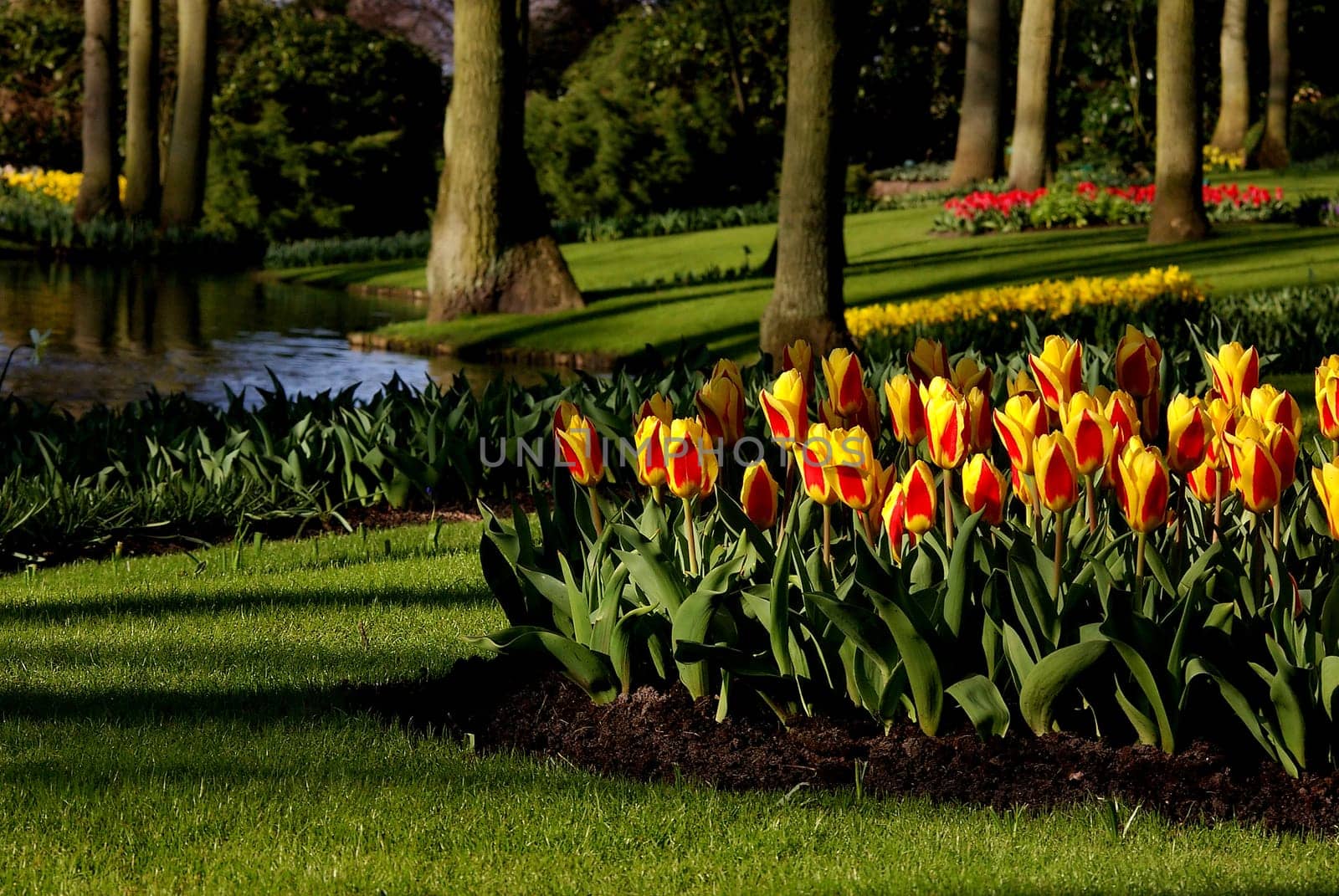Splashes of color