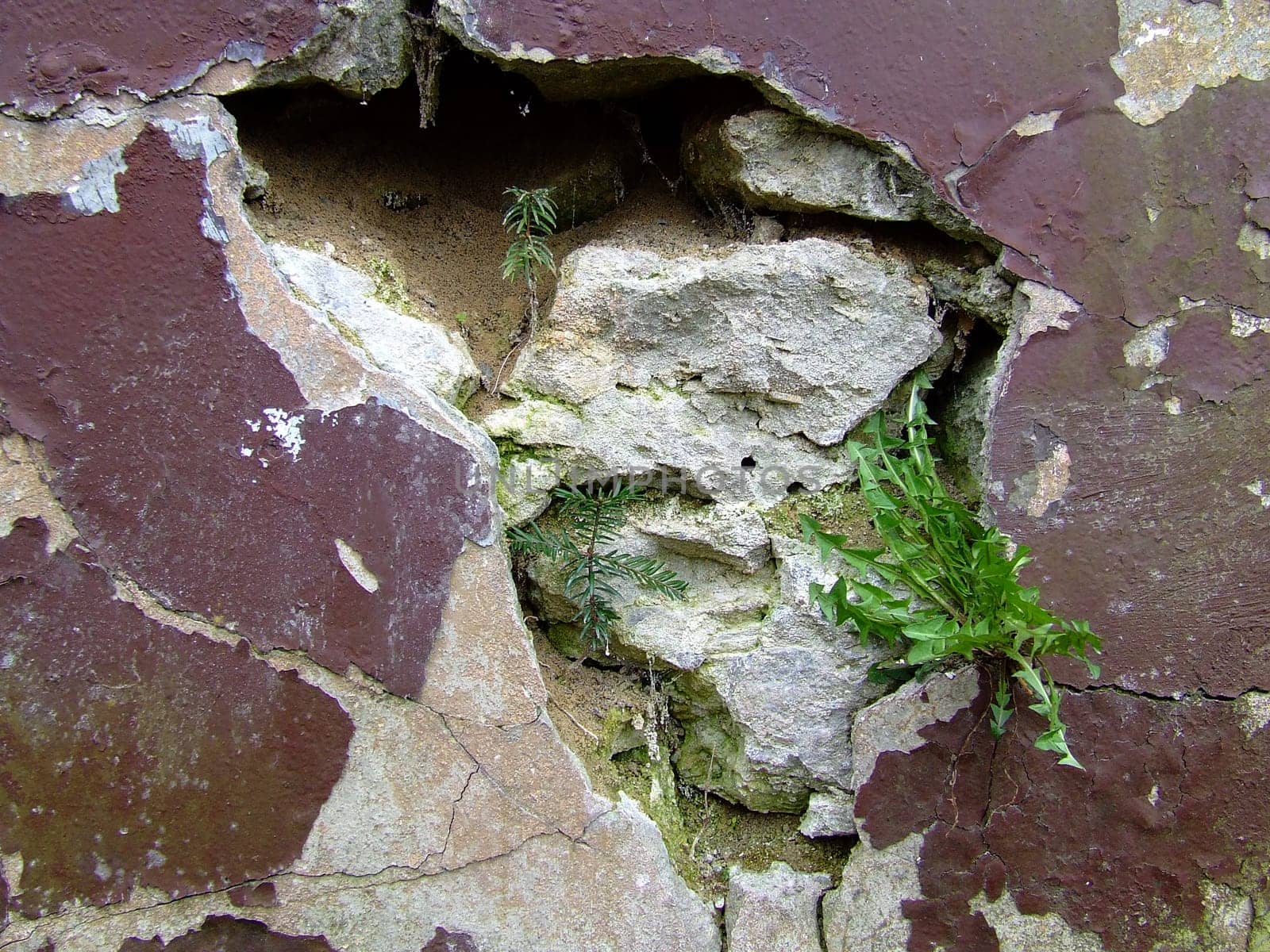 Out of the wall