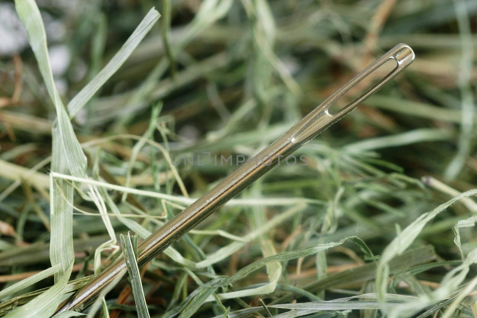 Needle in a haystack