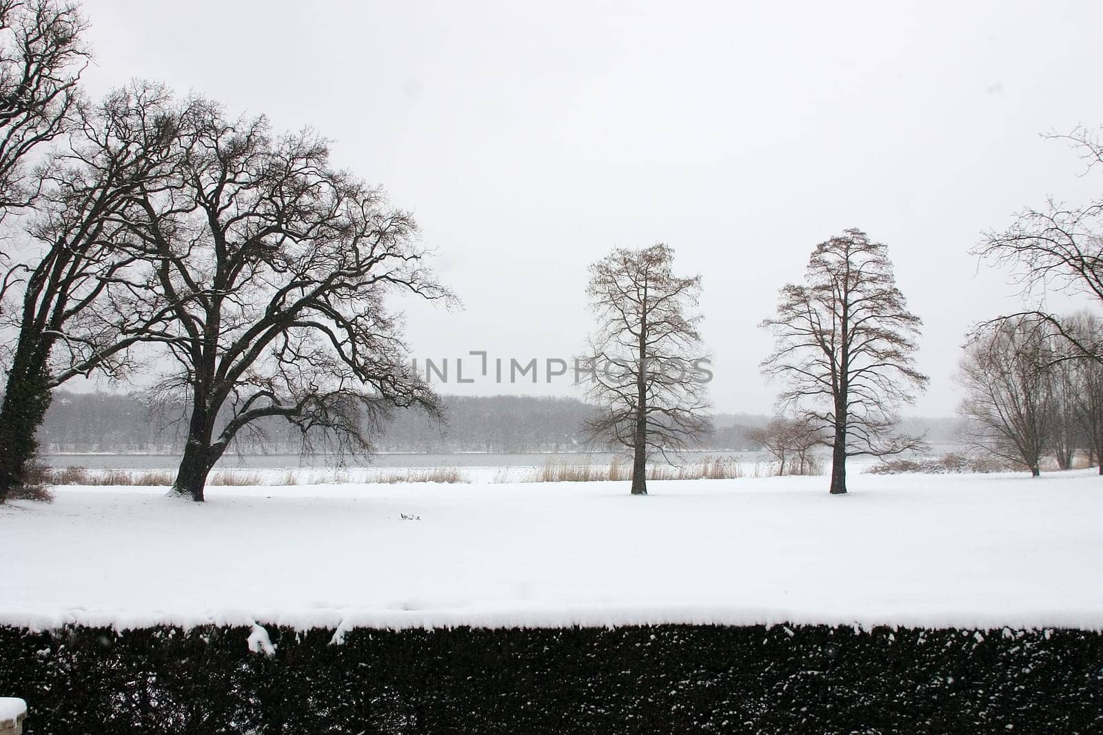 Winter Park