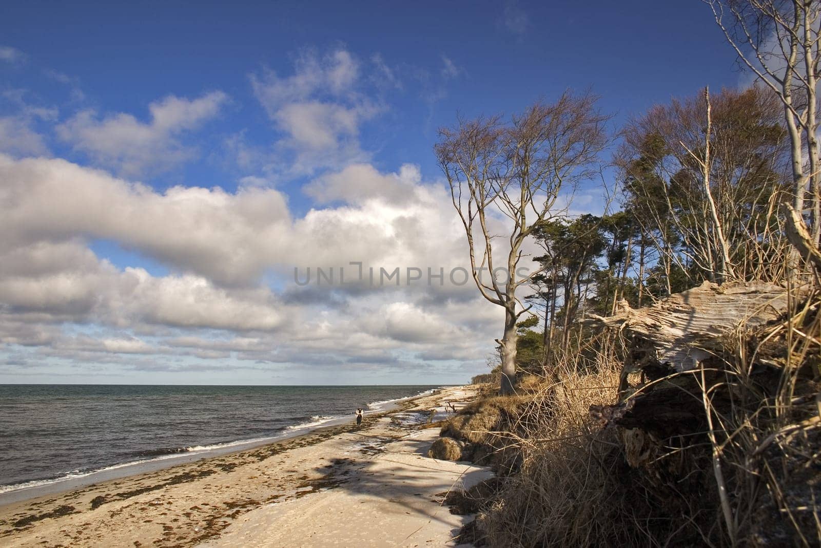 Baltic Sea Coast Fischland - Darß