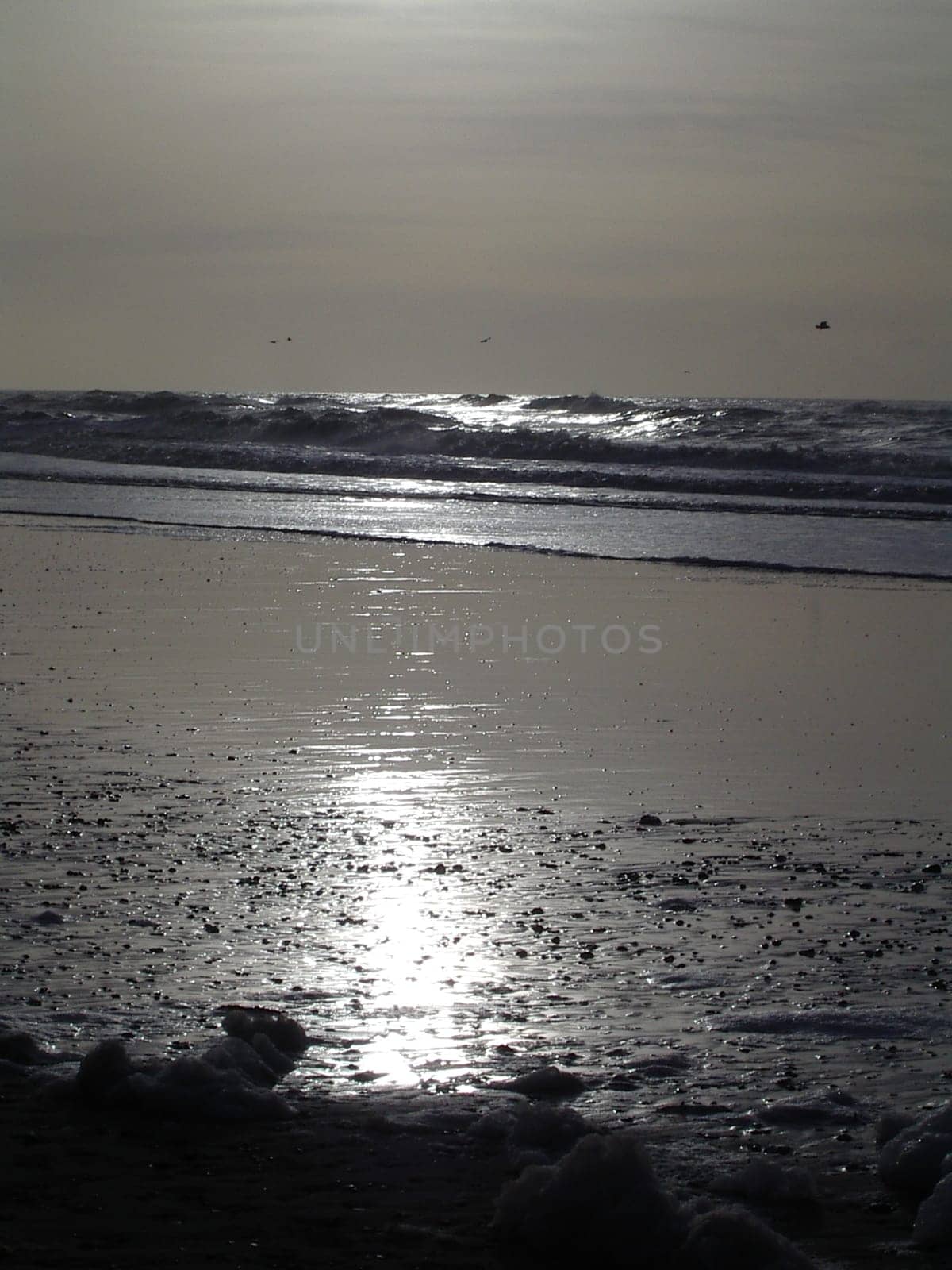 Sun and sea