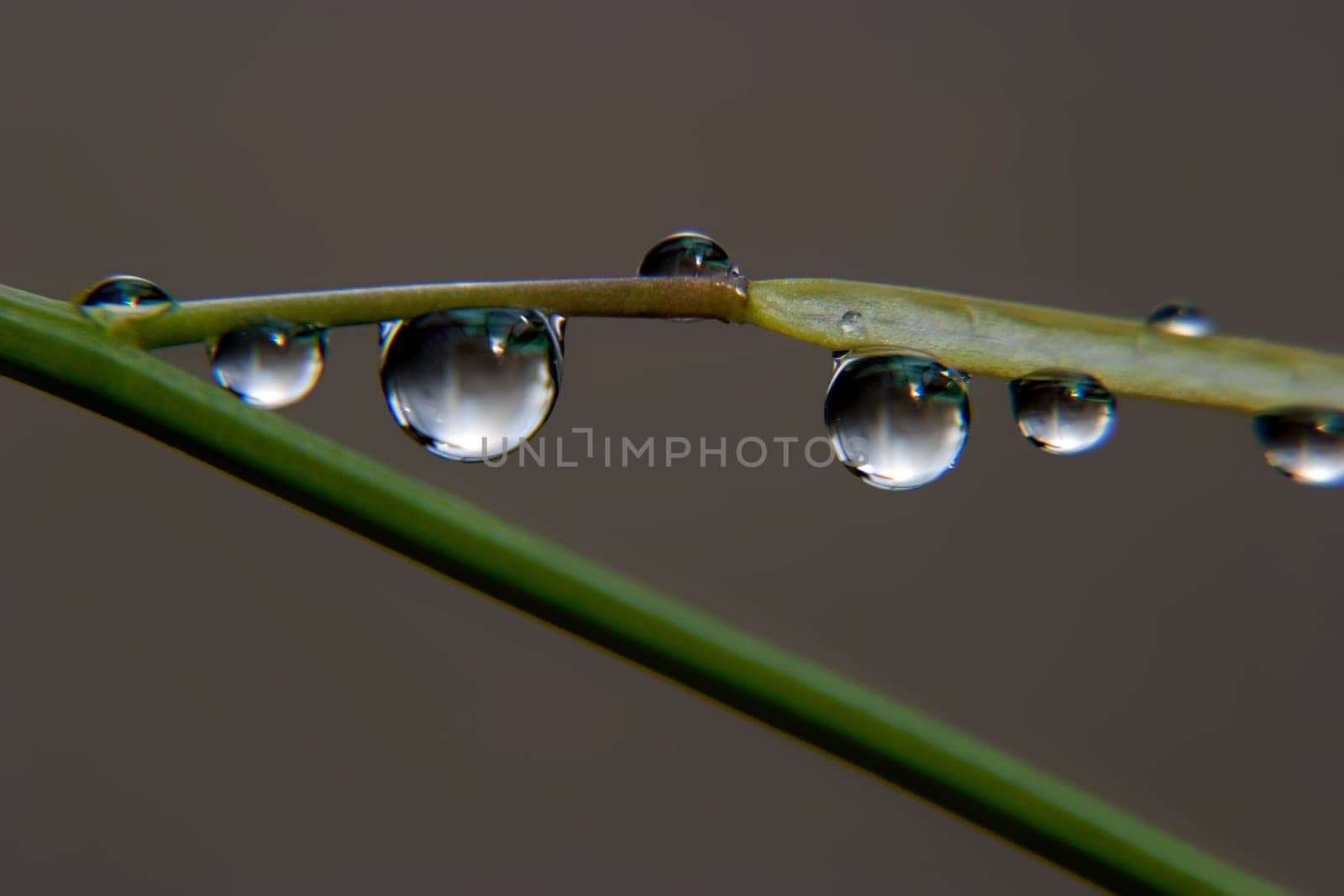 Waterdrop