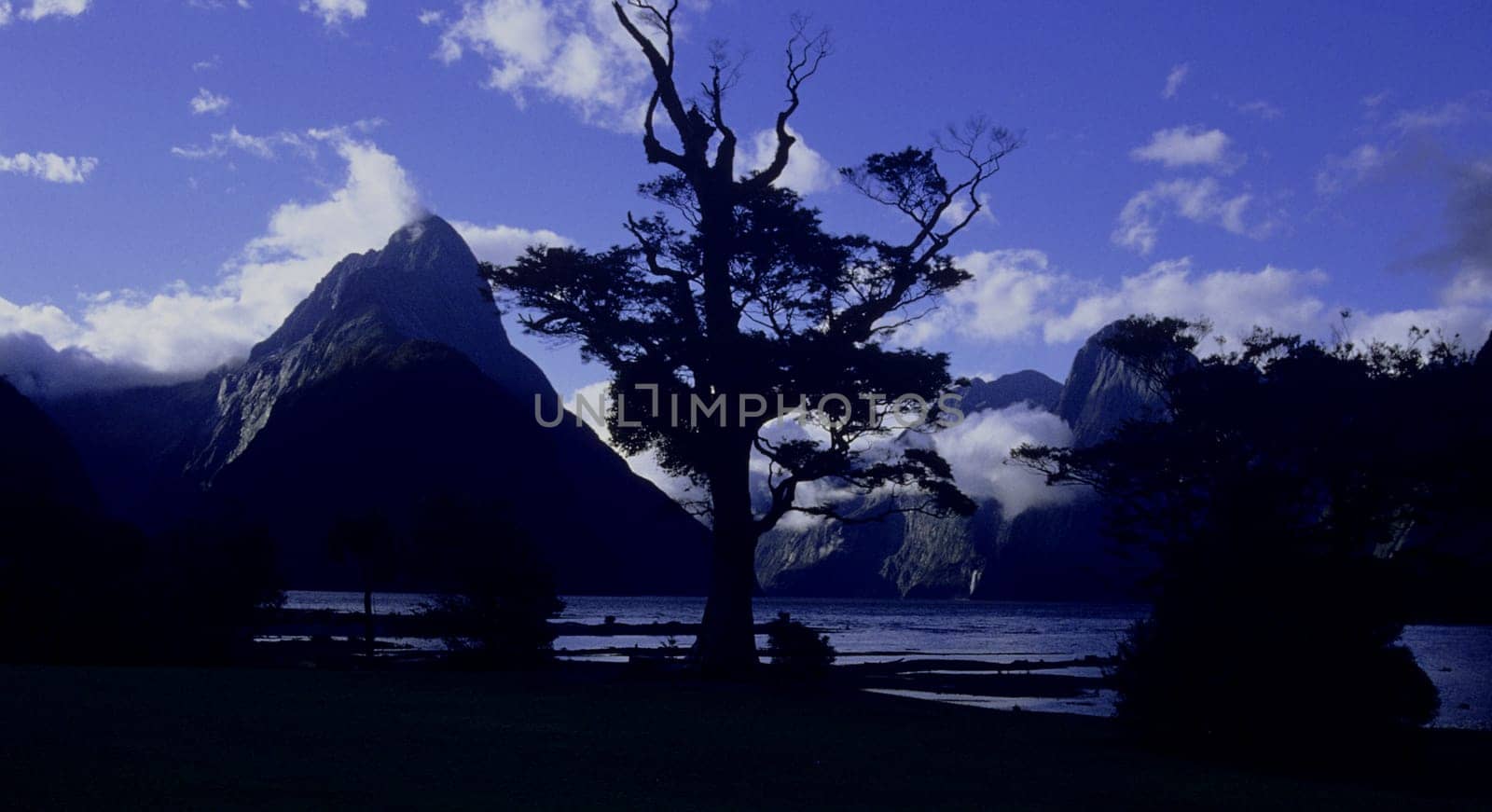 Scan of the slide