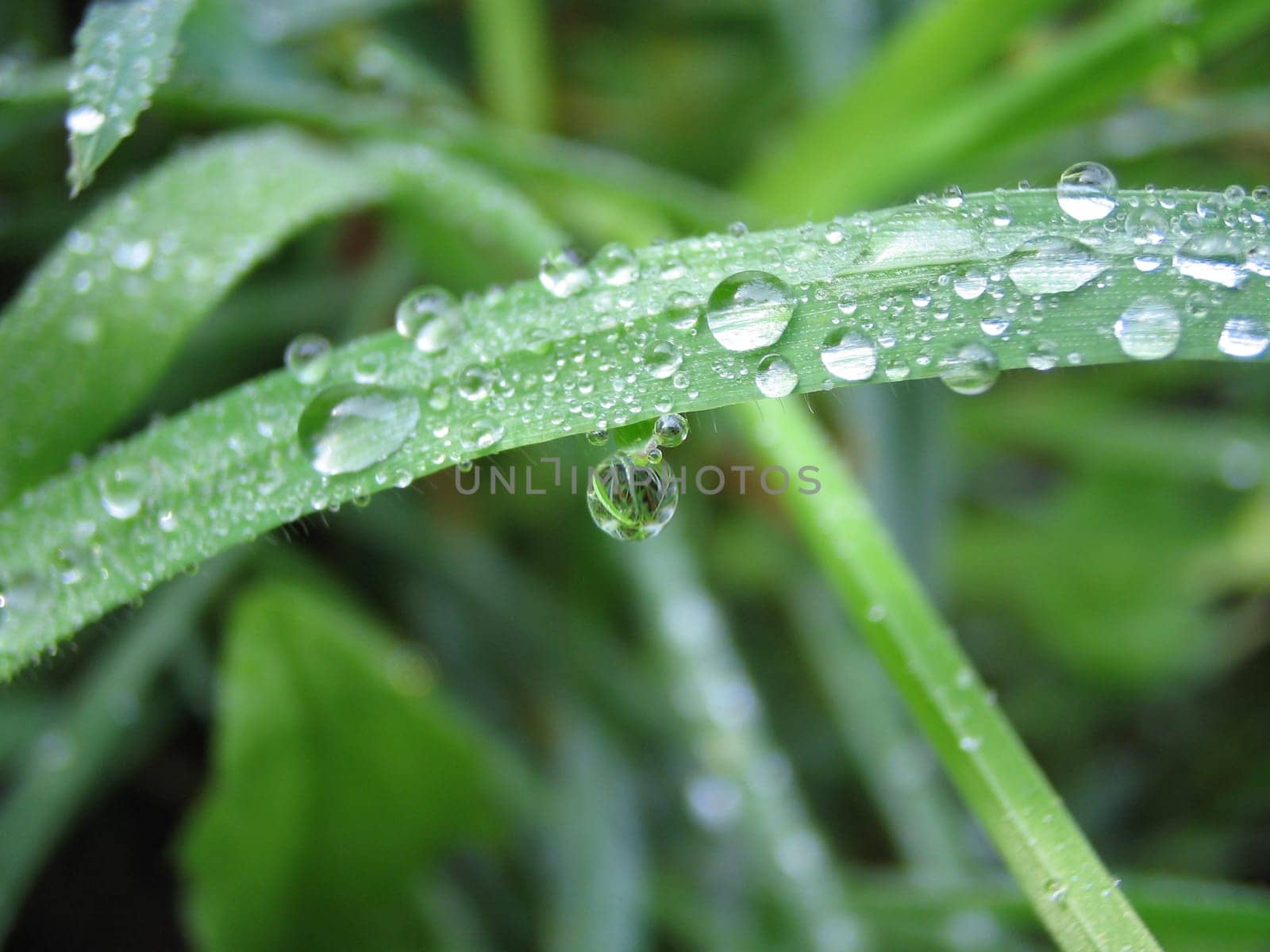 Canon Ixus i5