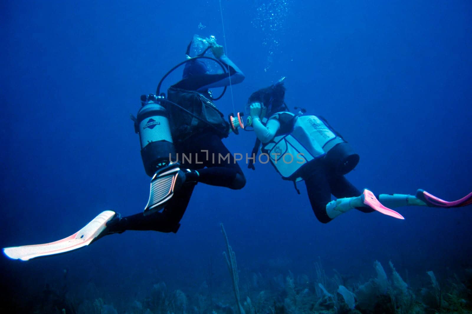 Diving apprenticeship and students in training. Exercise shown here: remove the mask under water,put it back on and blow out the water with your nose. Cayo Largo,Cuba