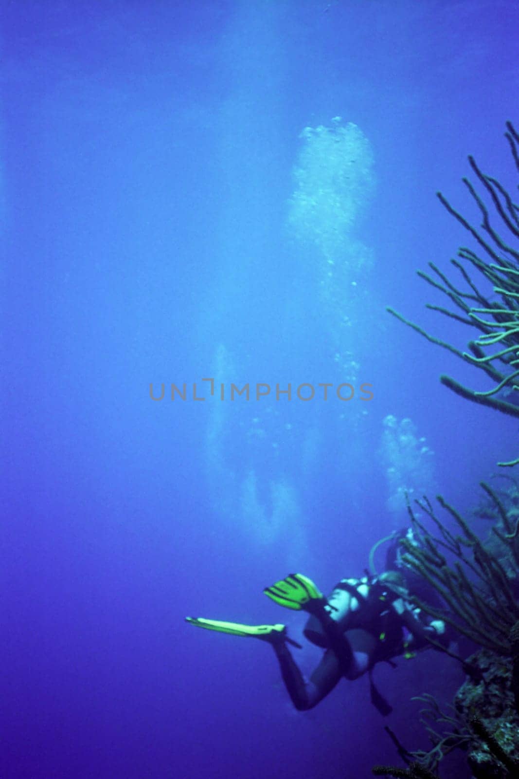 deep blue