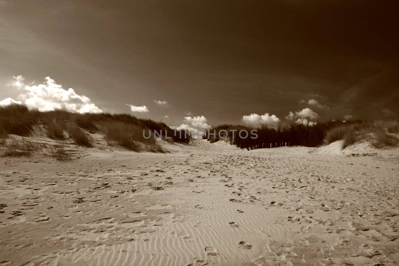Dune