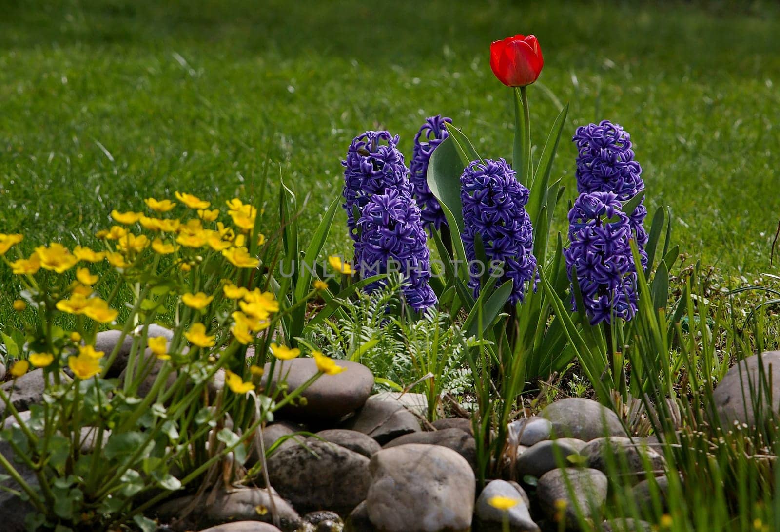 That's how I love spring