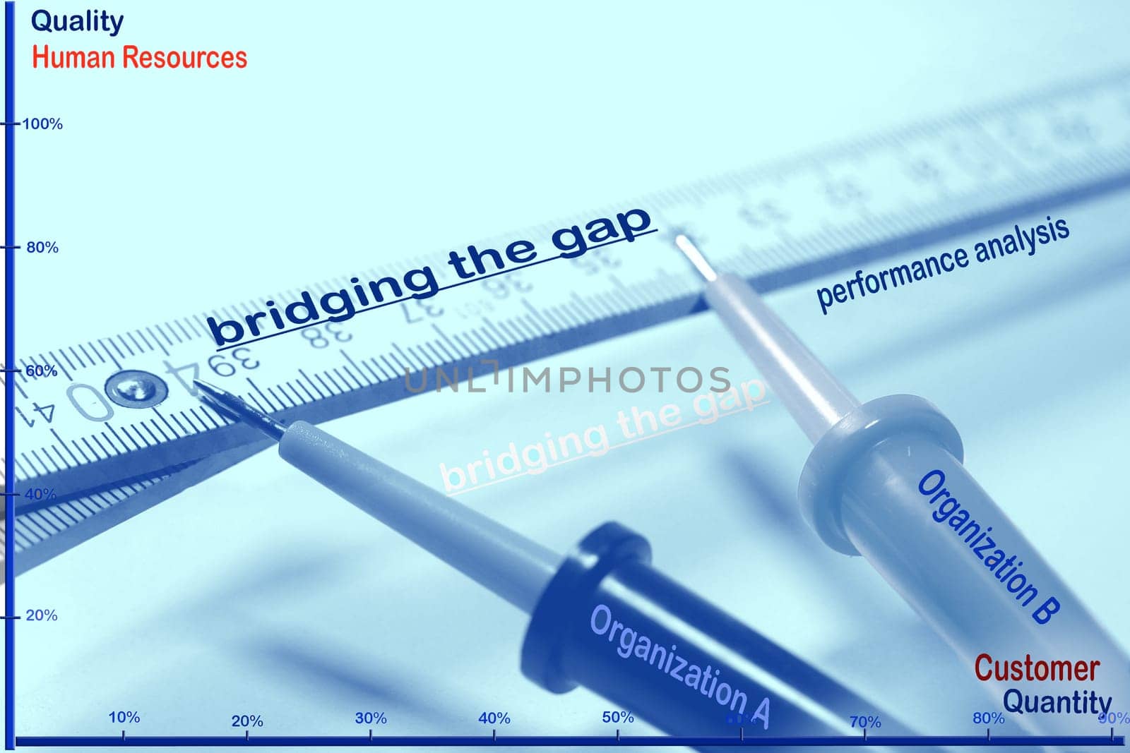 bridging the gap bluechip