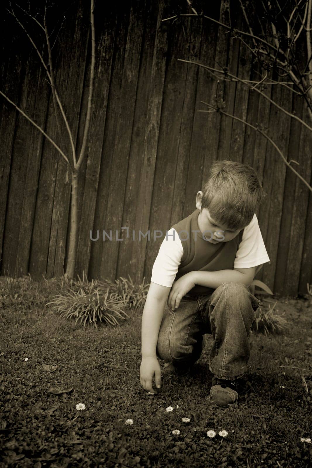 Lonely