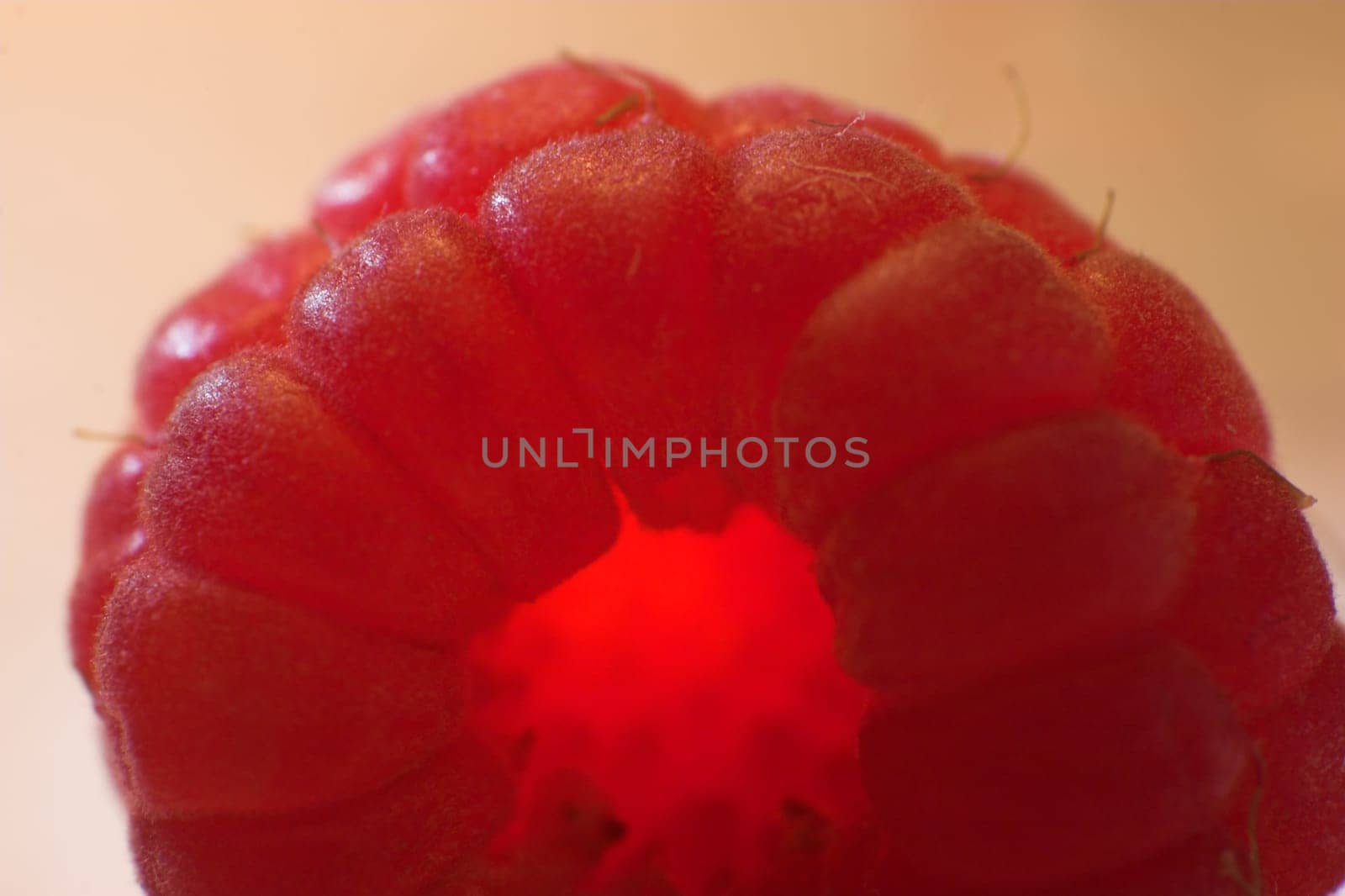 Portrait of a Heavenly Berry