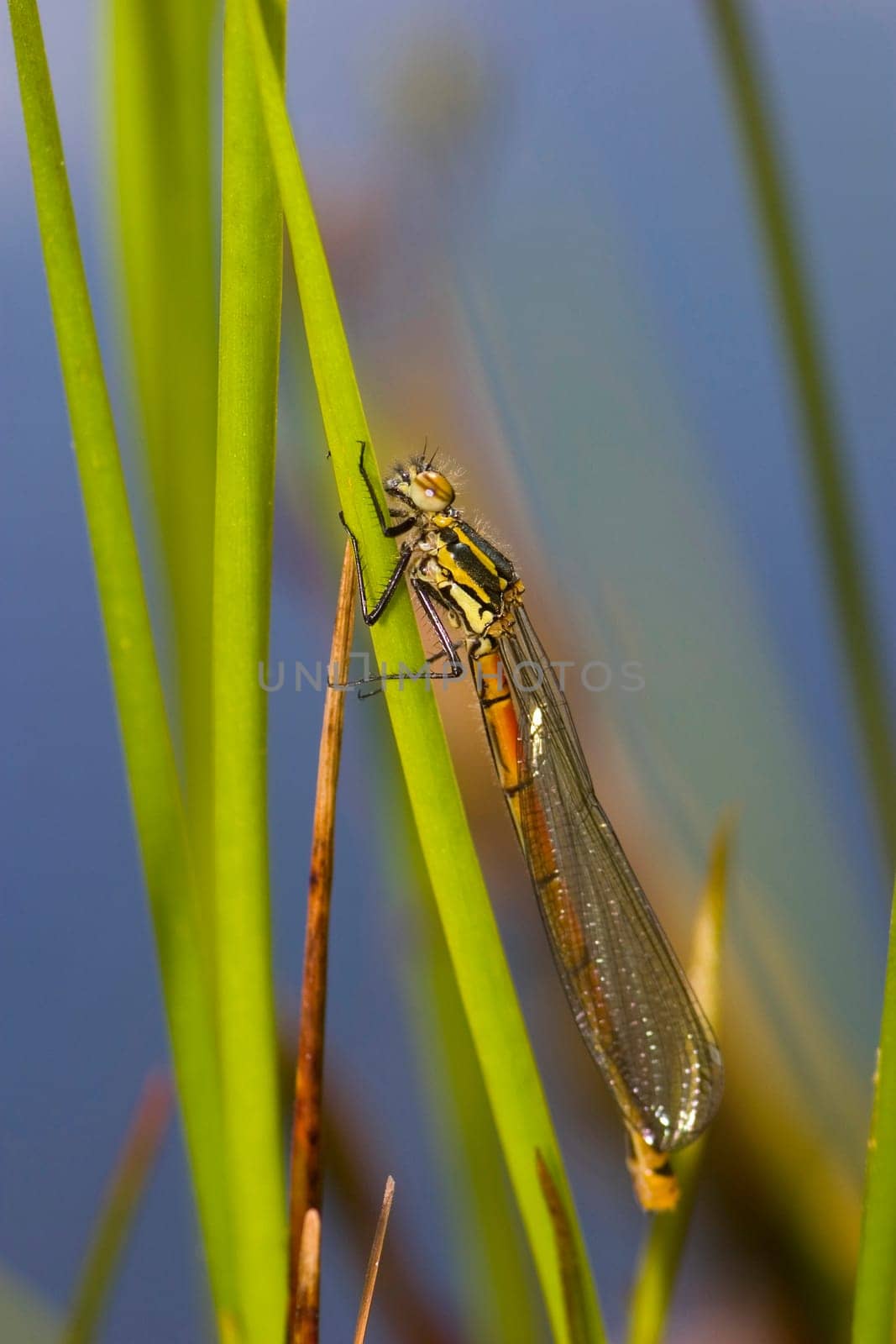 Hooray,they're flying again :-)