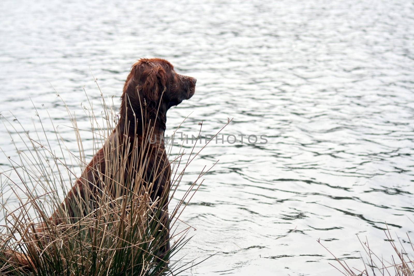 Views of the water