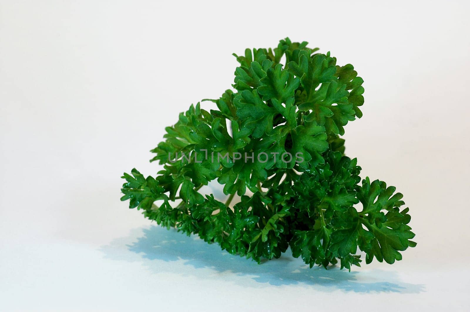 Parsley