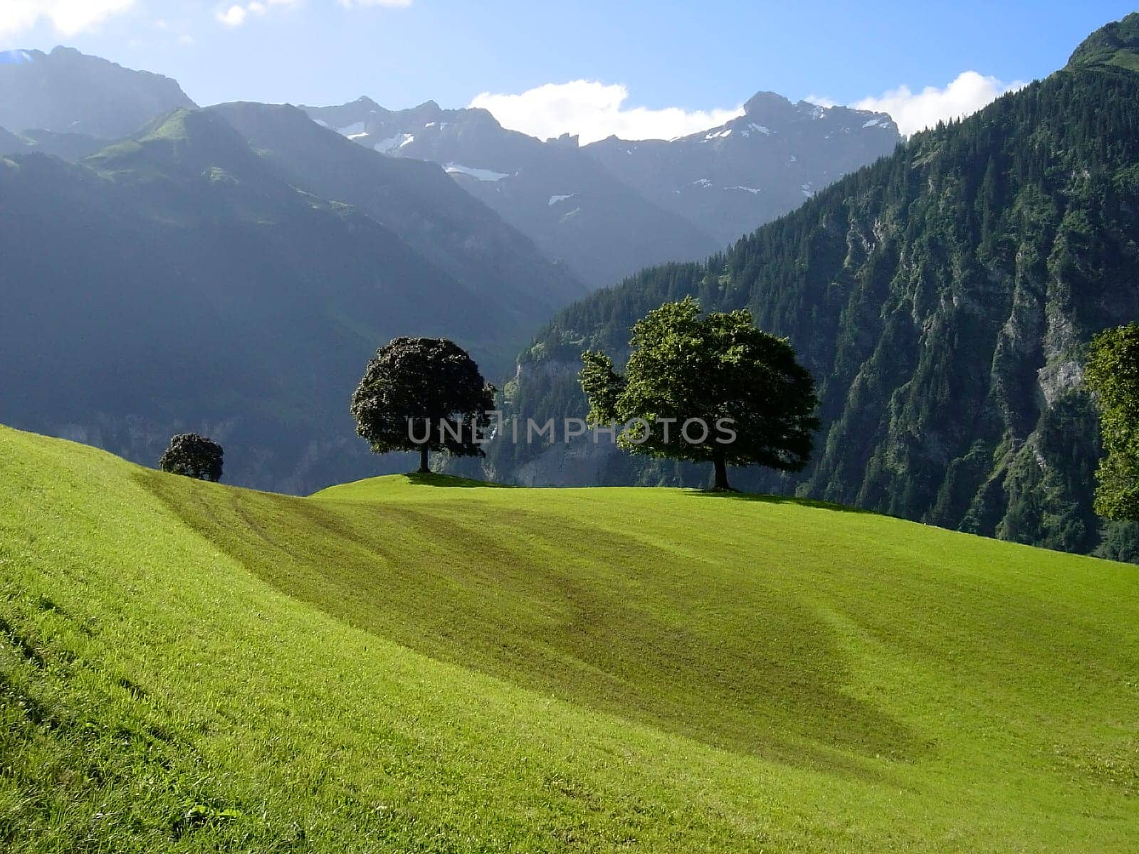 Innerschwyz