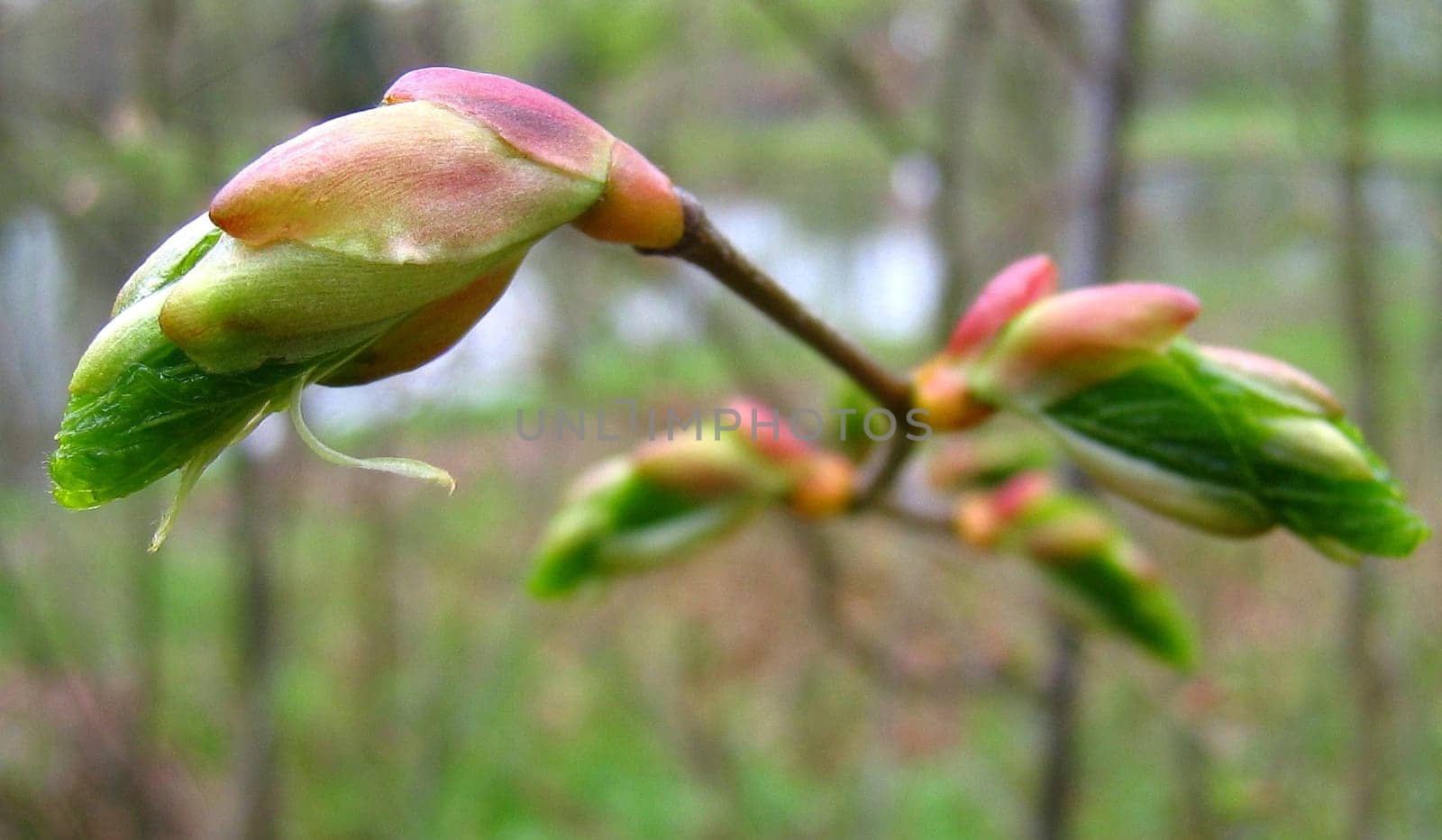 Spring02