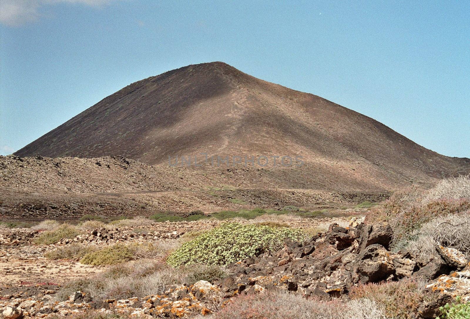 Lobos