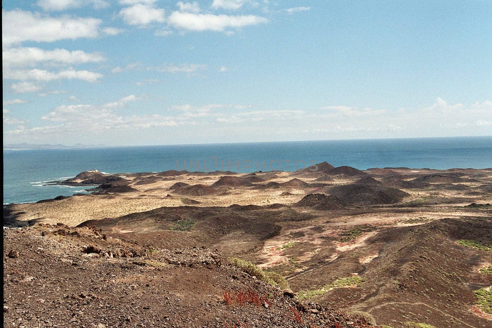 Lobos
