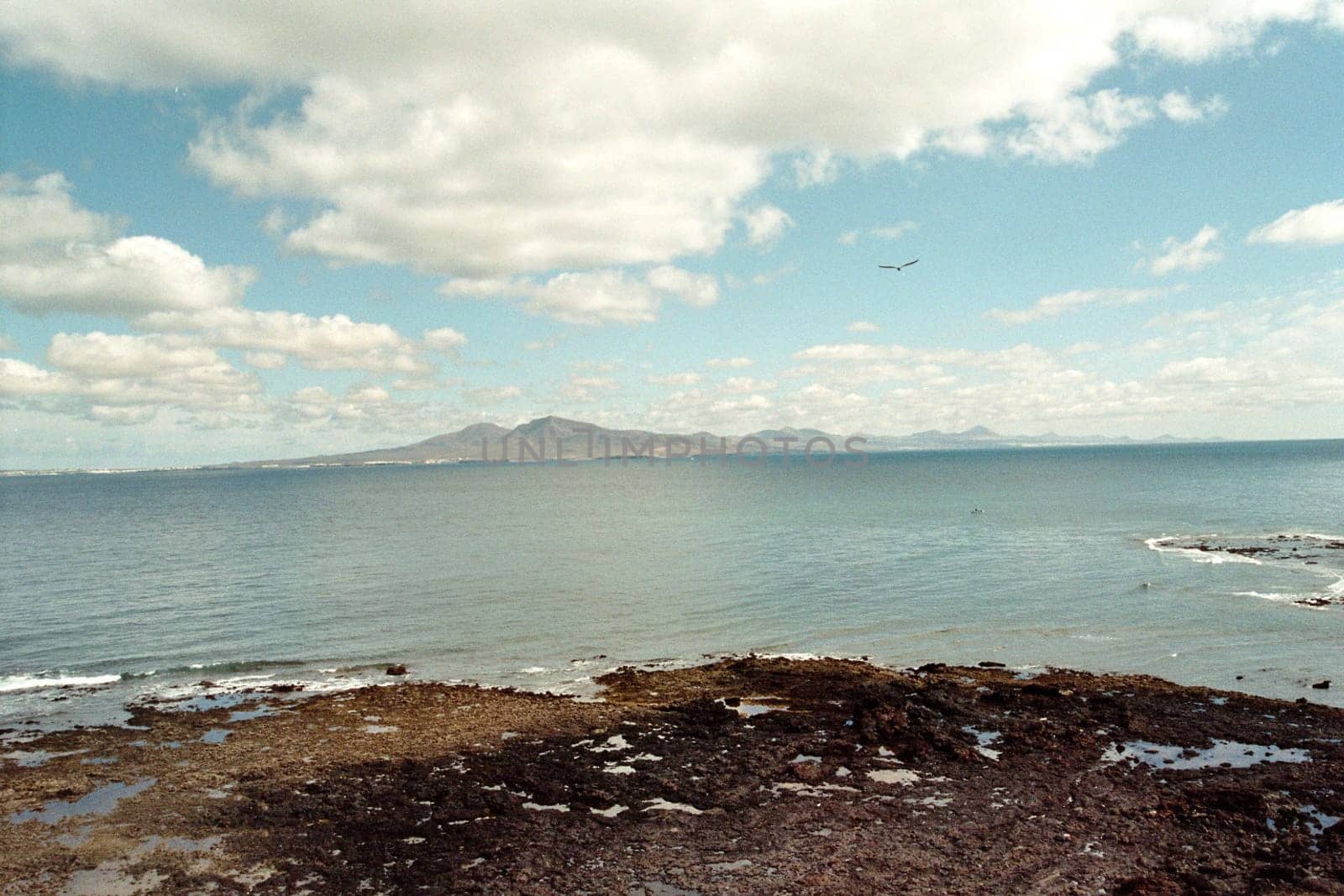 Lobos