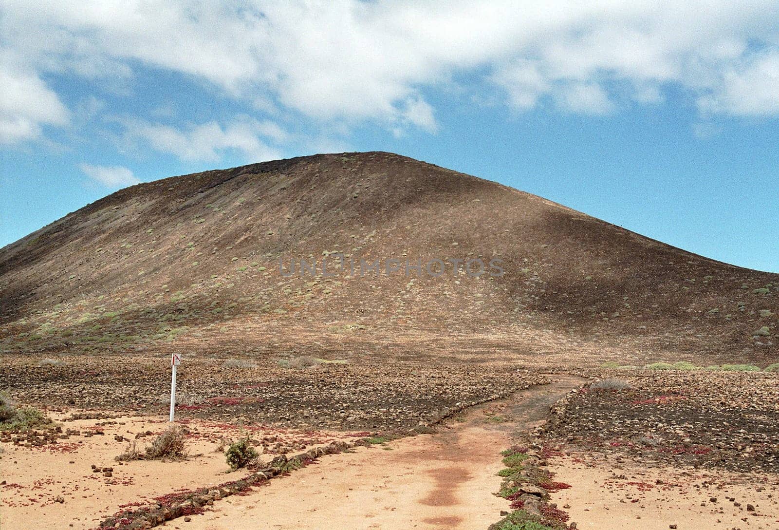 Lobos