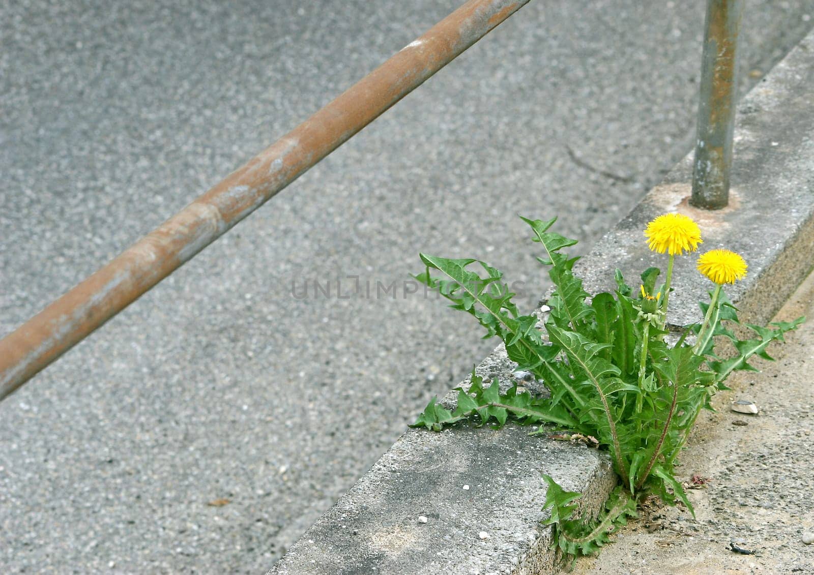 Tristesse meets nature