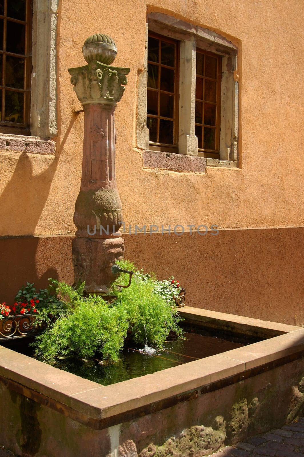 Village fountain Ribeauville,Alsace,France