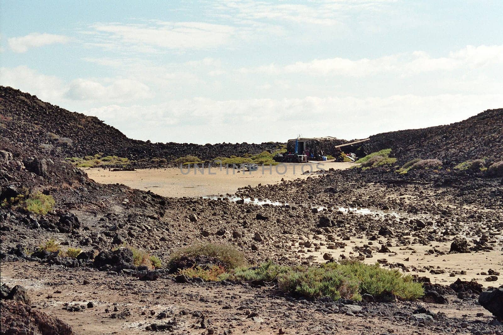 Lobos
