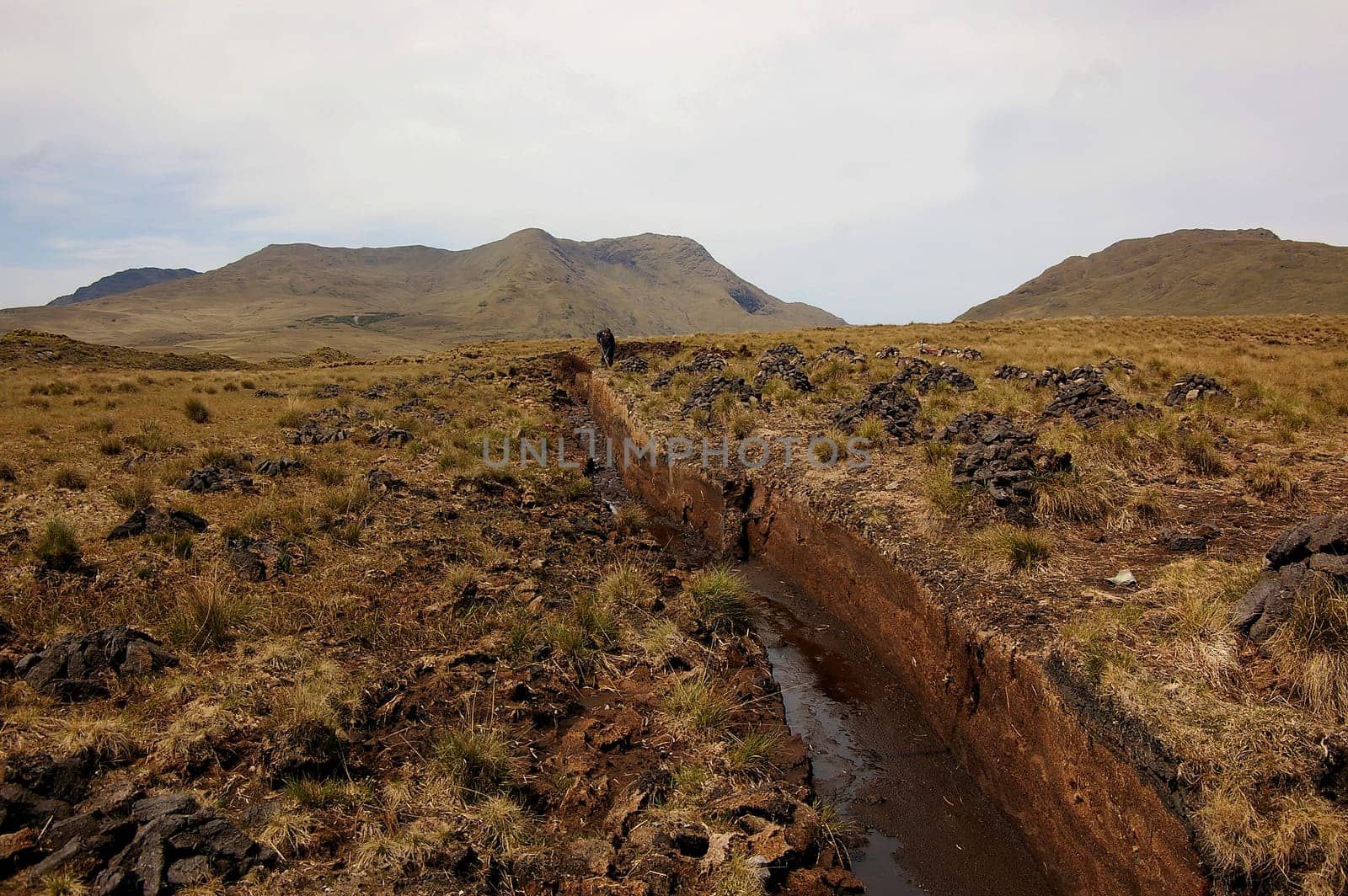 Peat cutting