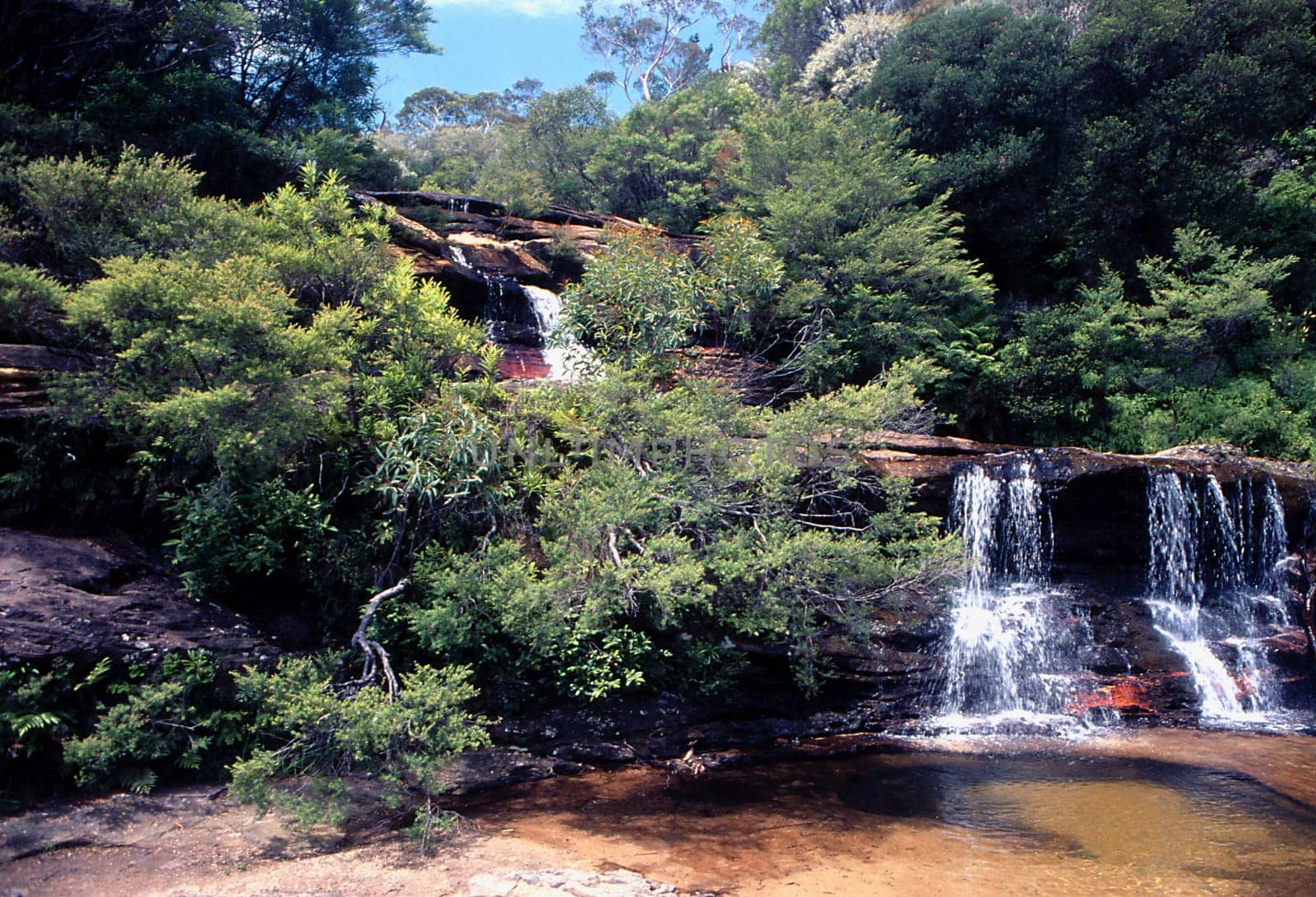 Scan of the slide