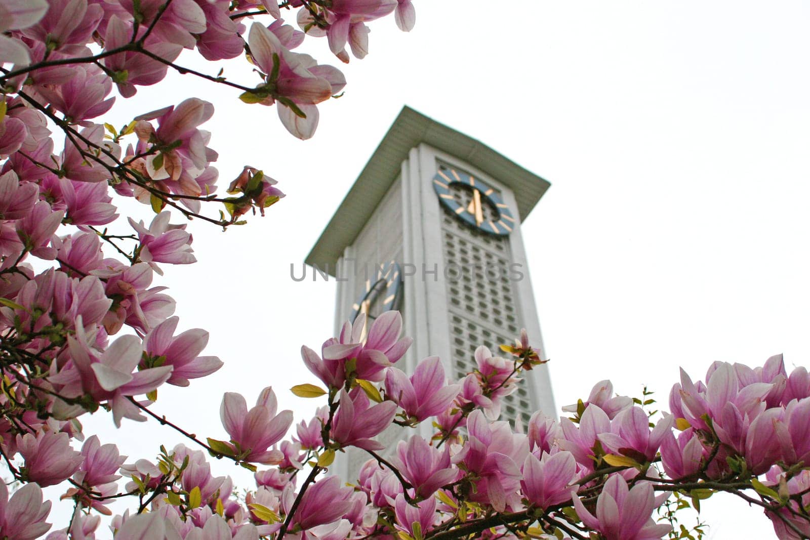 Bell chime