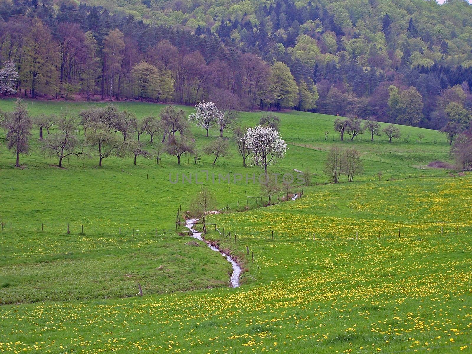 Gönzbachtal