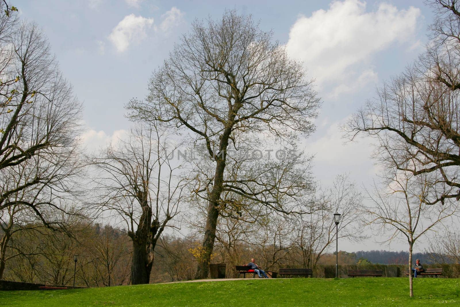 In the park